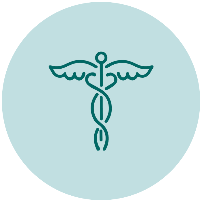 Health Icon